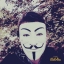 jasa4444