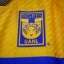 FC Tigres