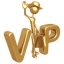 VIP Analize