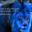 wba7