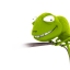 Mucus