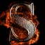 StefiG