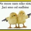 Rasoj188