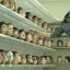 Microman