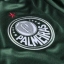 Palmeiras