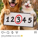 photo thumbnail