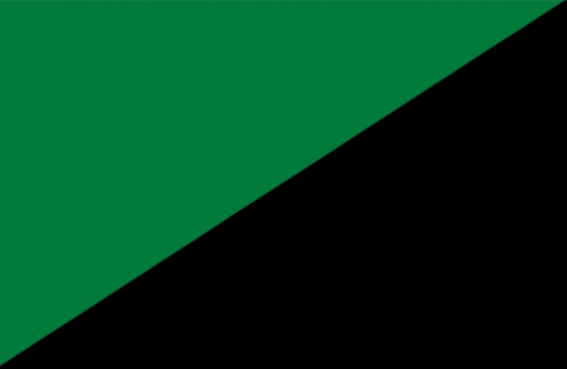 PordenoneCalcio