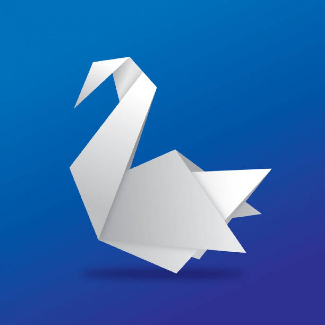 Swan Team