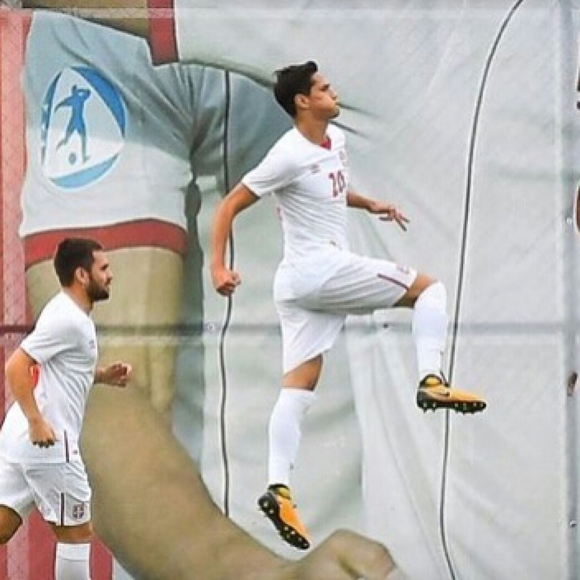 Misholinho